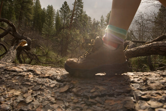 A woman's hiking book on a log to illustrate Backpacks & Bags Elevate Your Style with Lincoln City Gifts.