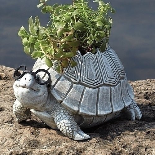 Planter - Turtle w/ Glasses