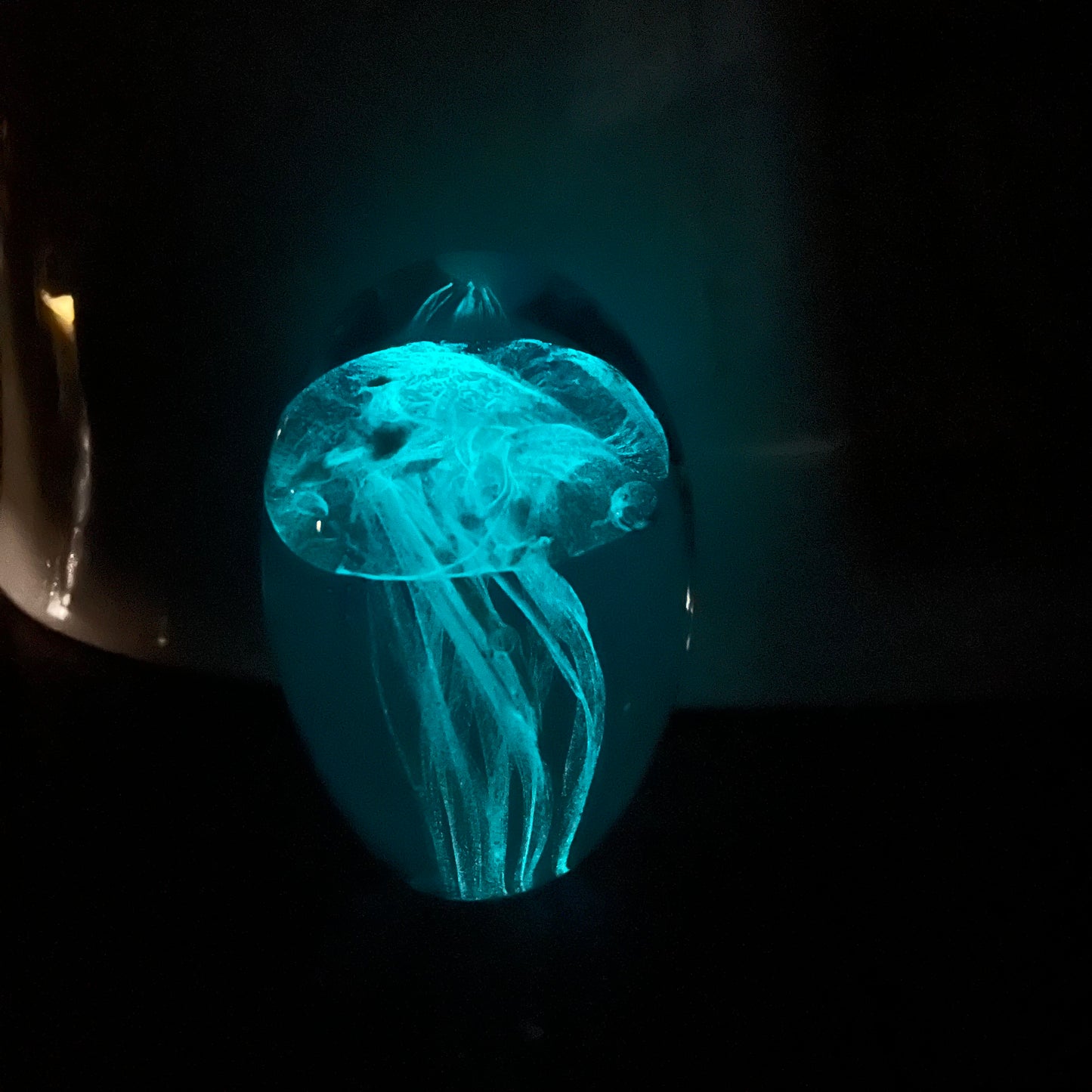 Jellyfish Blue Gold Glow