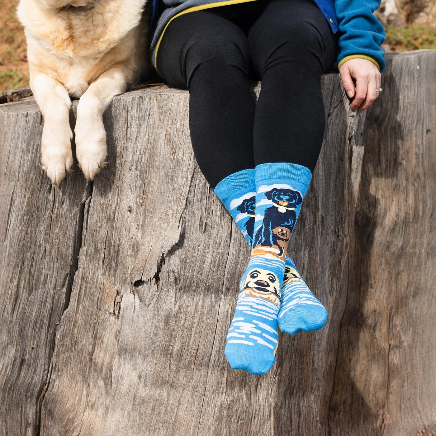 Socks - Crew Length 'Life Is Better With a Lab' Socks