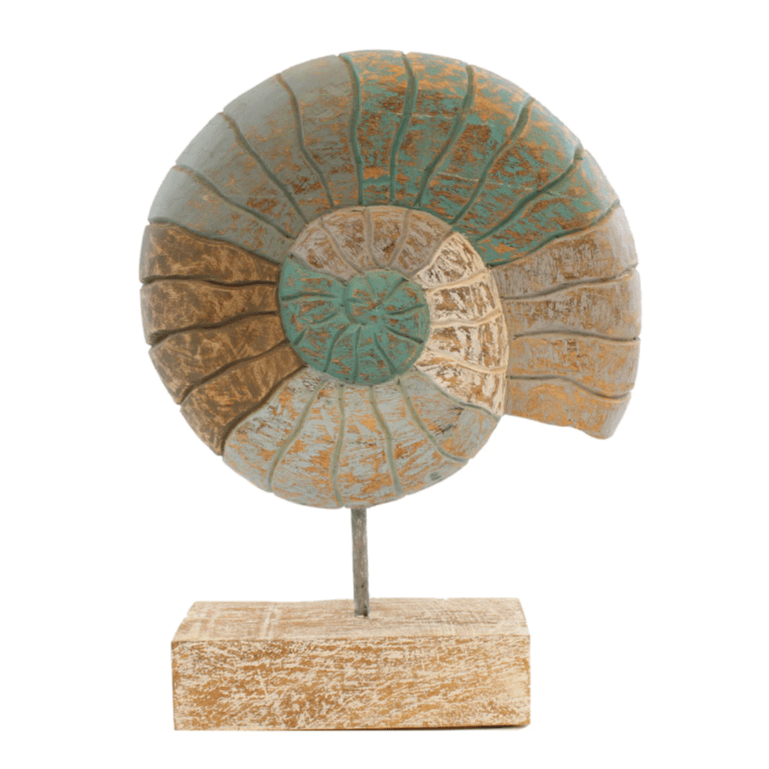 Statue - Mango Wood Nautilus Shell