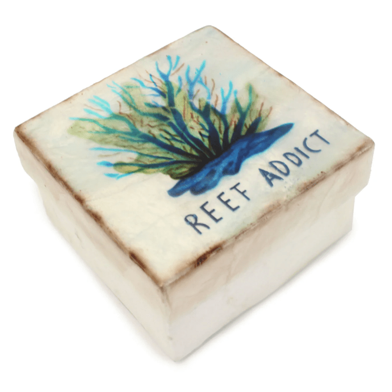 Trinket Box - 3 in. Capiz Reef Addict