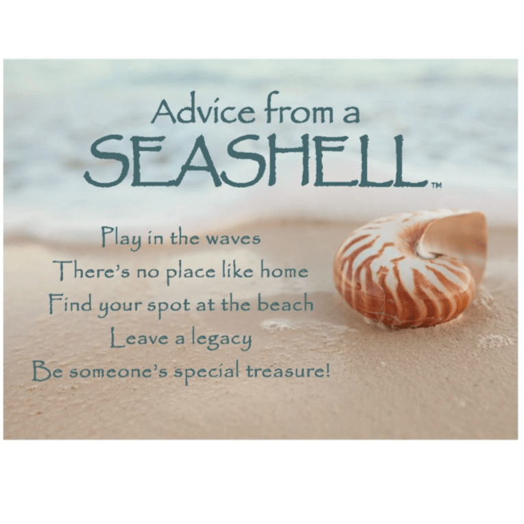 Magnet - Advice From a Seashell