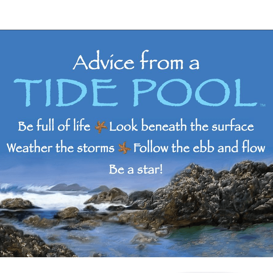 Magnet - Advice From a Tide Pool