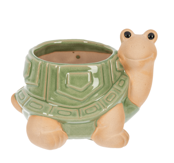 Planter - Turtle
