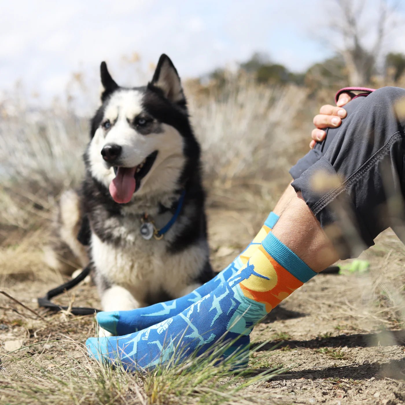 Socks - Crew Length 'Adjust Your Altitude' Socks