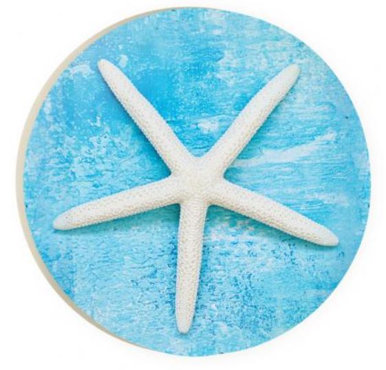 Car Coaster CST0065 - Starfish on Blue