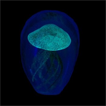 Glass Art - Jellyfish - 4.25 Green/Blue