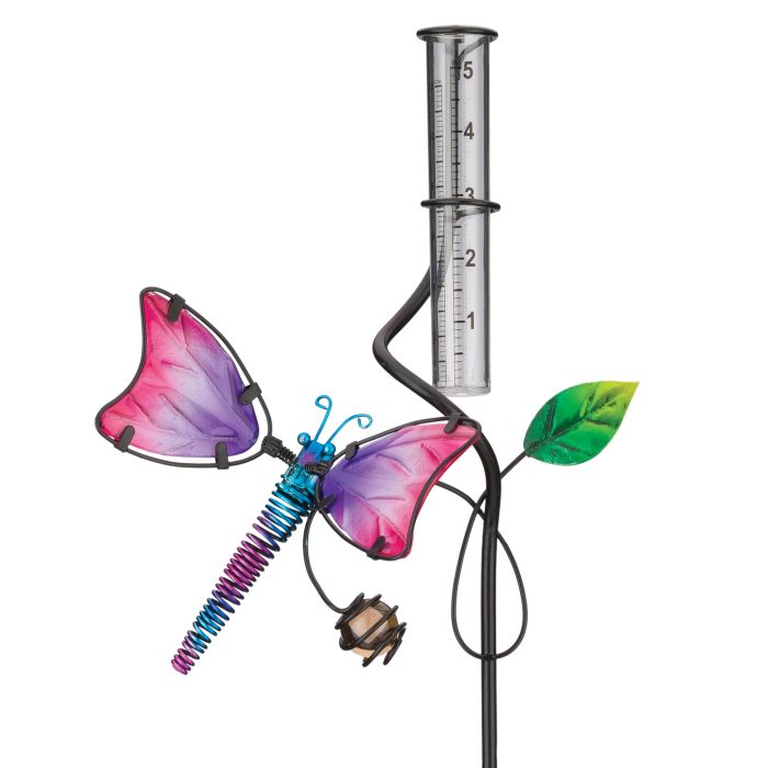 Rain Gauge Dragonfly