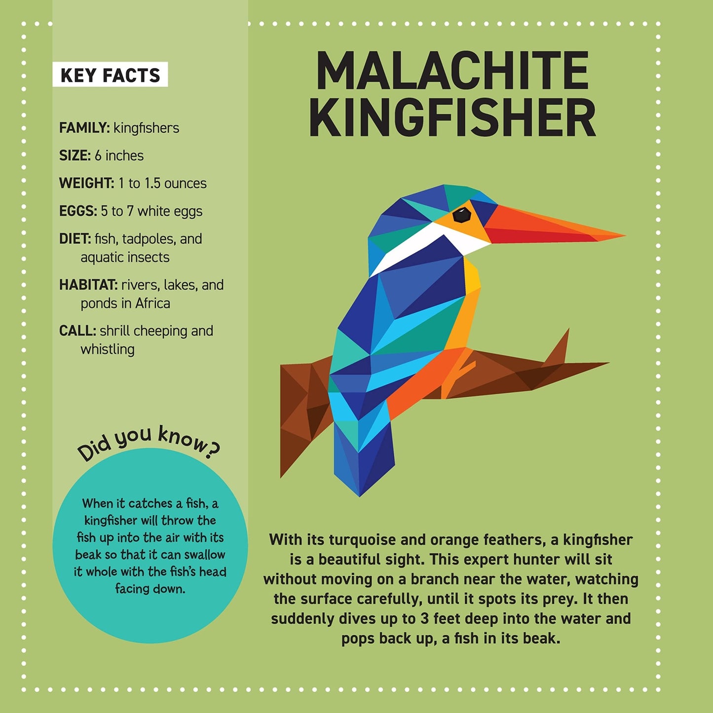 My Sticker Paintings Birds