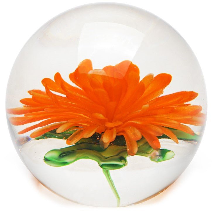 Chrysanthemum Paperweight