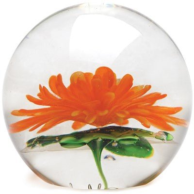 Chrysanthemum Paperweight