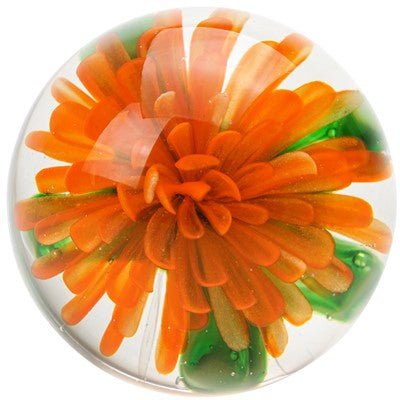 Chrysanthemum Paperweight