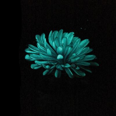 Chrysanthemum Paperweight