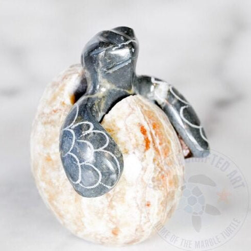Figurine Marble Hatchling Turtle 1"