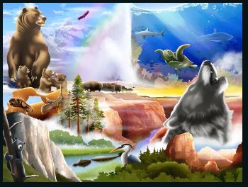 Puzzle - National Parks Jigsaw Puzzle