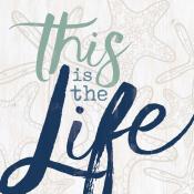 Sign - SBB0081 - This Is The Life