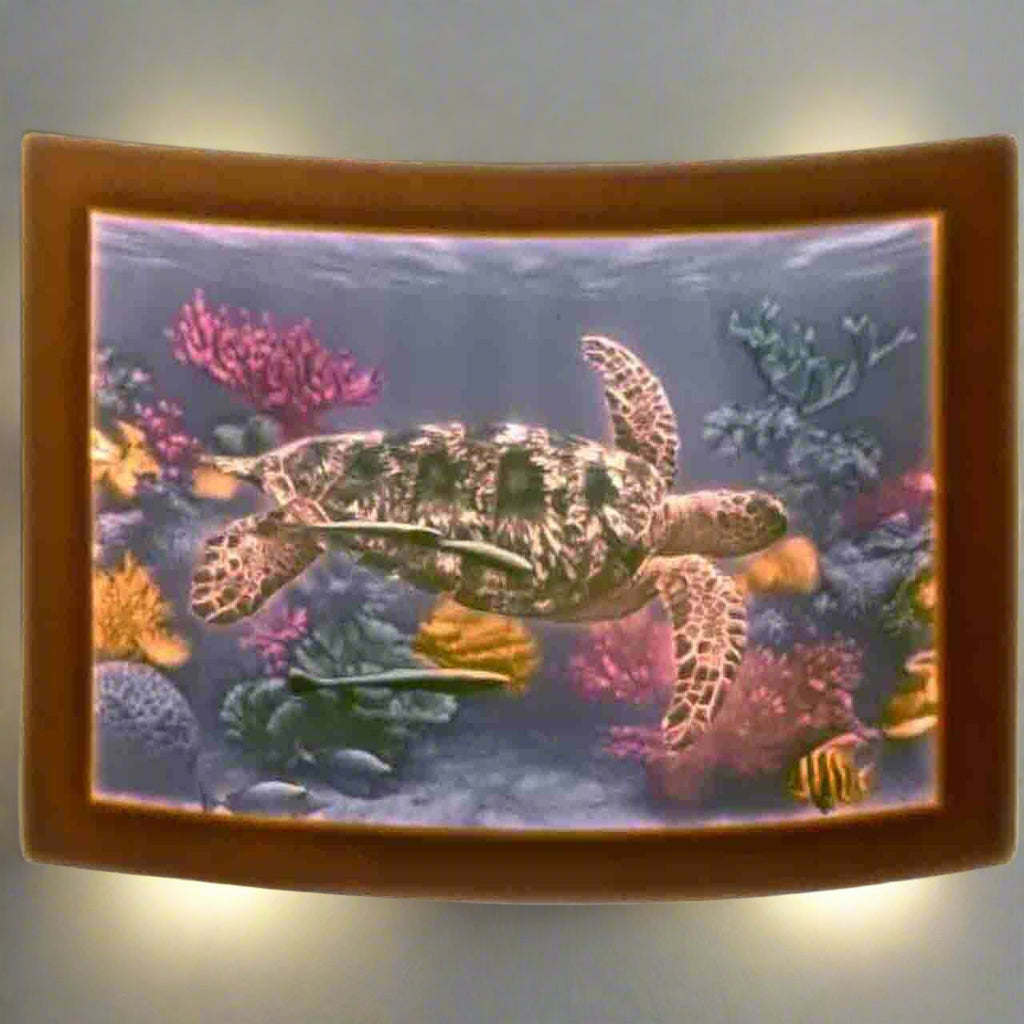 Night Light - Porcelain - Colorful Sea Turtle #4