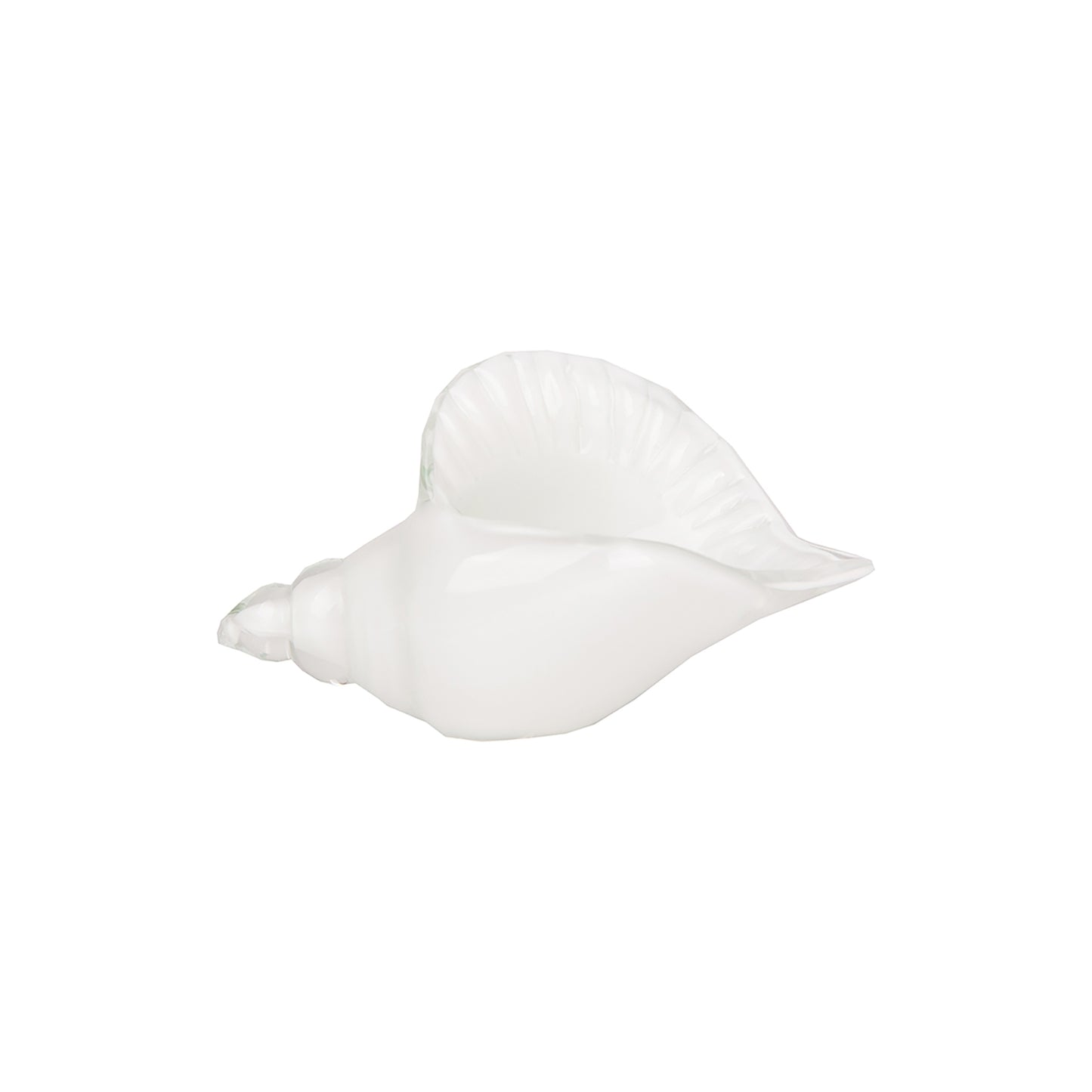 Glass Art - White Shell