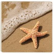 Coaster COA0643 - Salty Kisses