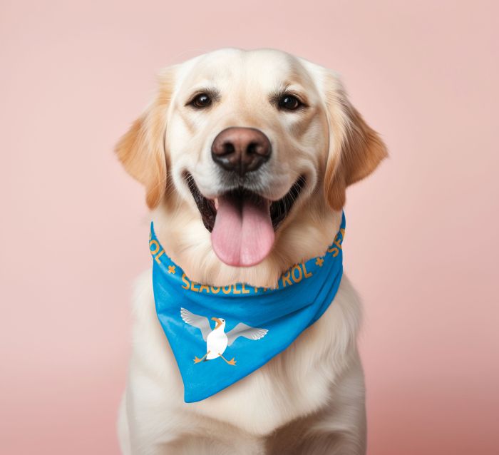 Bandana - Pet Bandana - Seagull Patrol L/XL
