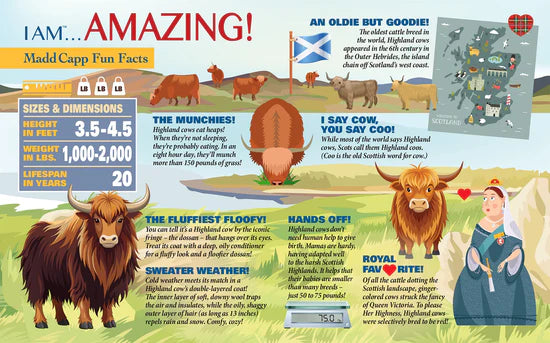 Puzzle - 550 Piece - I am highland cow