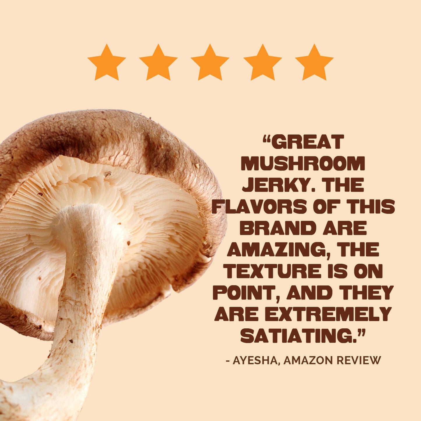 Pan's Mushroom Jerky - 2.2oz Curry