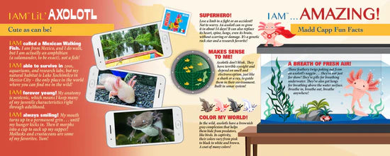 Puzzle - 100 Piece - I am Lil' Axolotl