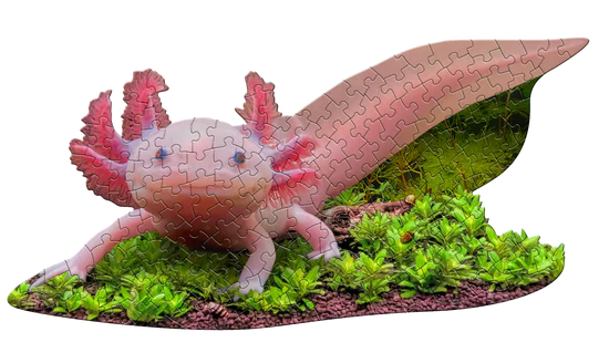 Puzzle - 100 Piece - I am Lil' Axolotl
