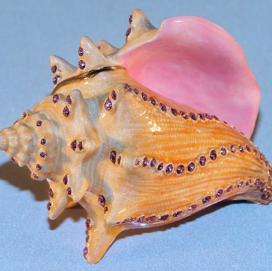 Box - Jeweled Conch Shell