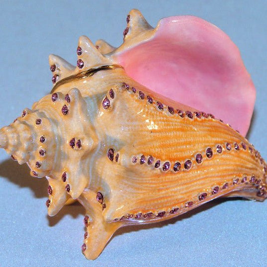 Box - Jeweled Conch Shell