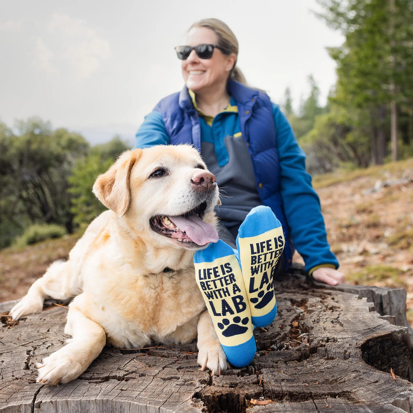 Socks - Crew Length 'Life Is Better With a Lab' Socks