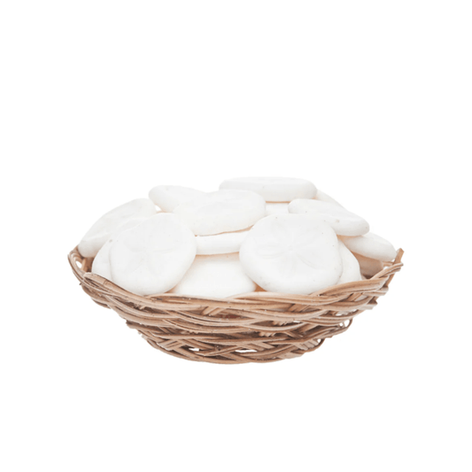 Basket - Sand Dollar Bundle