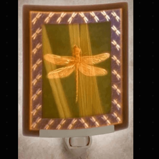Night Light - Porcelain - Colorful Dragonfly #15