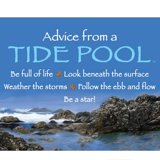 Magnet - Advice From a Tide Pool