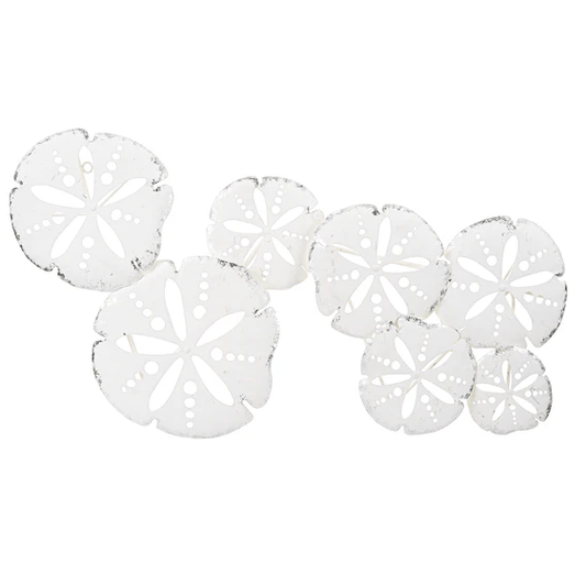 Wall Décor - White and Silver Sand Dollars