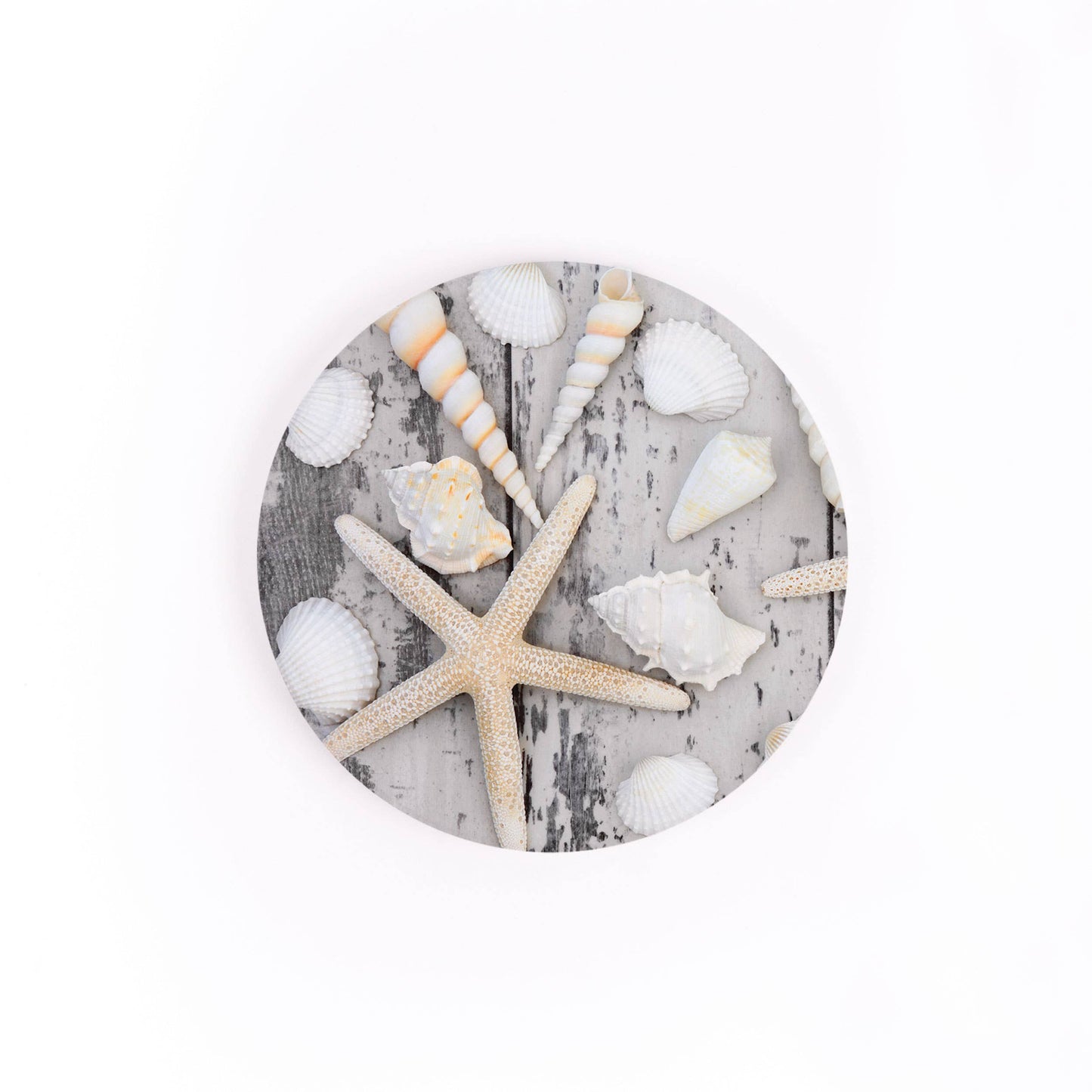 Coaster - Shell Car Coaster CSTS0764