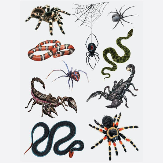 Temporary Tattoos - Spiders, Scorpions & Snakes