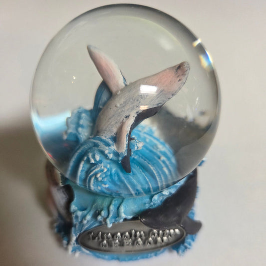 Water Ball 45MM - Humpback