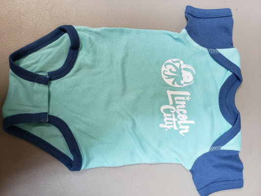 Onesie - Infant Teal & Navy