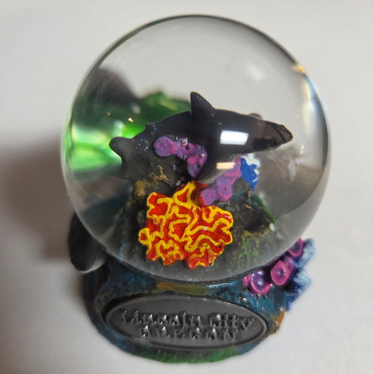 Water Ball 45MM - Shark