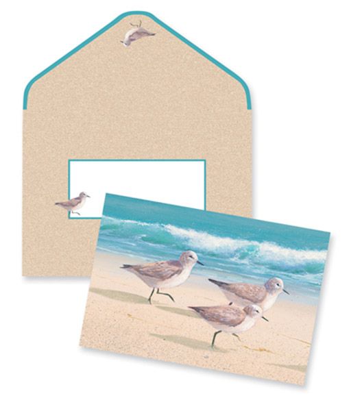 Note Cards Boxed Sandpipers