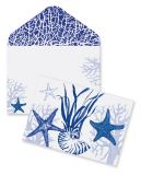 Note Cards Boxed Blue Indigo Shells