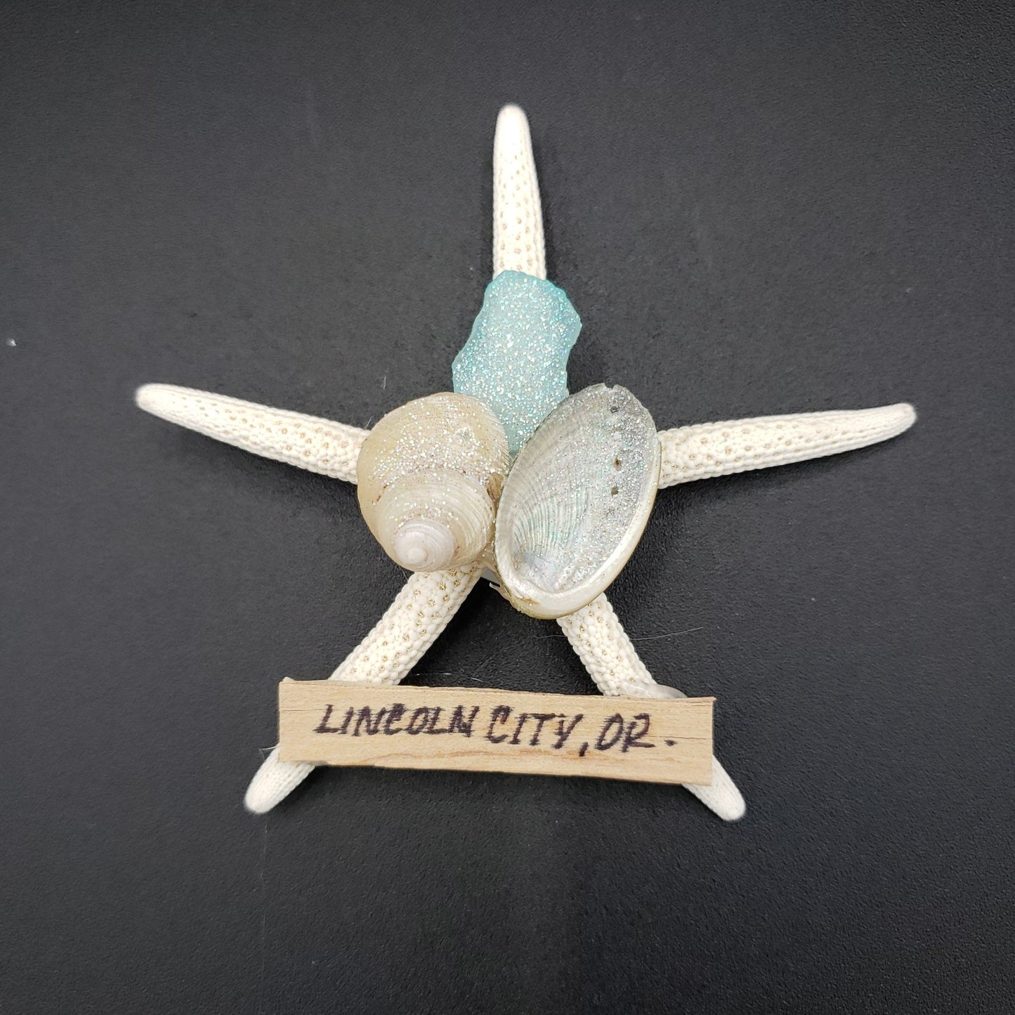 Magnet - Starfish w/Shells LC Oregon