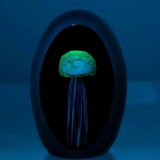 Glass Jellyfish Blue & Black 4"