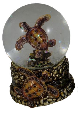 Water Ball - Turtle on Coral