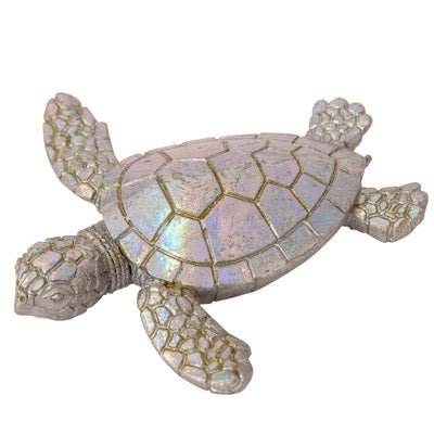 Magnet - Turtle Silvery Sea