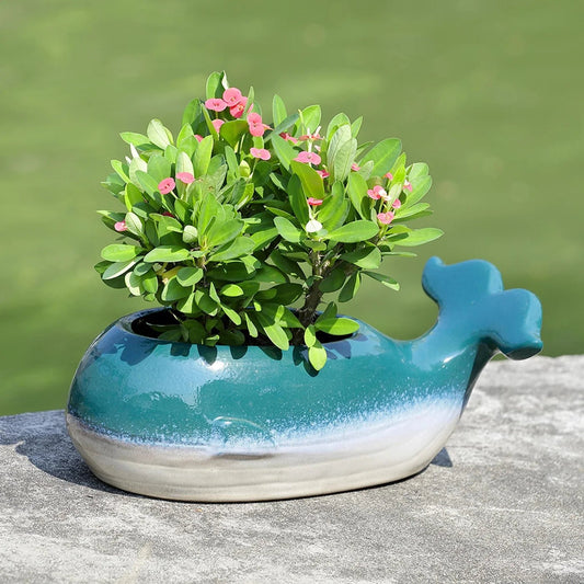 Planter - Whale Ceramic Planter