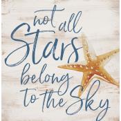 Sign - BHB0209 - Not All Stars Belong To The Sky