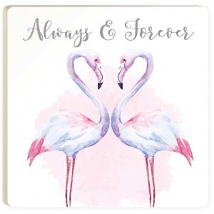 Coaster COA1388 - Always and Forever Flamingo
